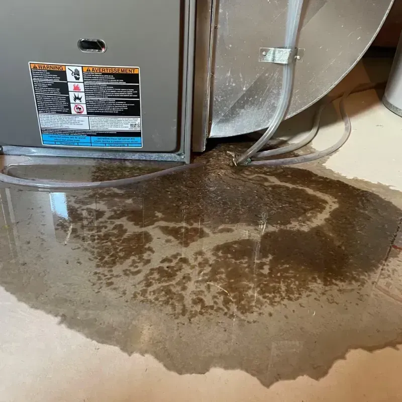 Appliance Leak Cleanup in Addis, LA